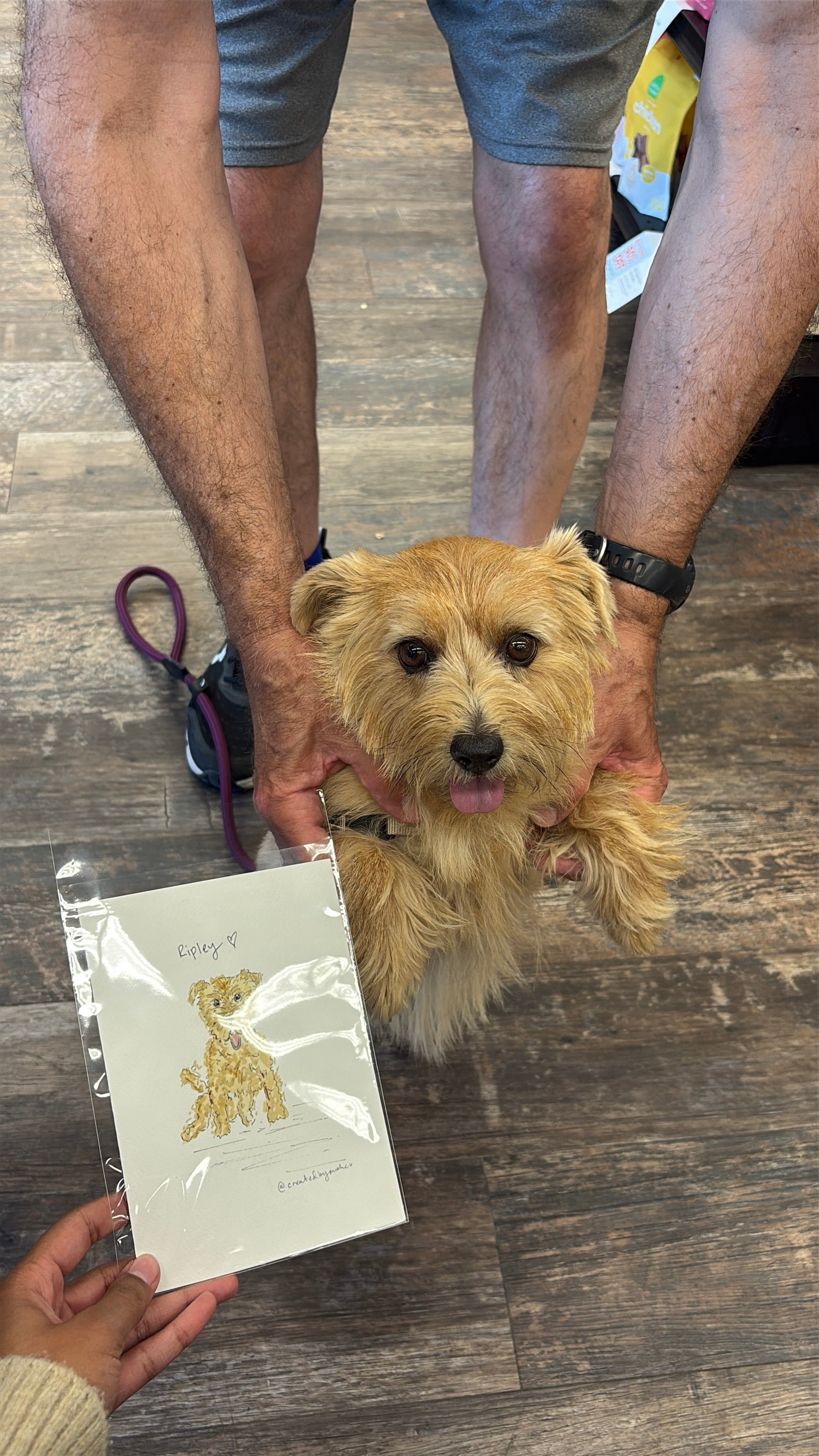 Person or Pet Portrait